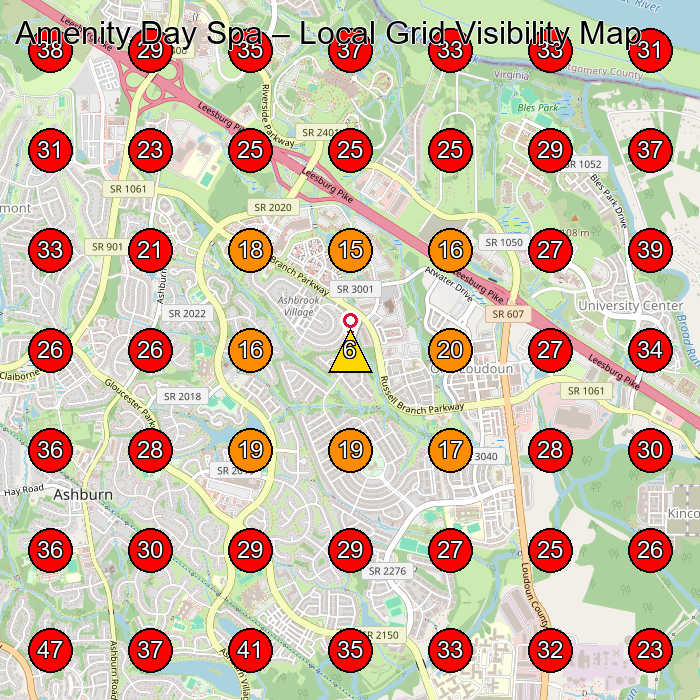 Amenity Day Spa GeoGrid visibility map for Hair Salon in Ashburn